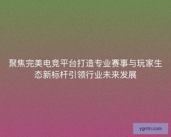 聚焦完美电竞平台打造专业赛事与玩家生态新标杆引领行业未来发展